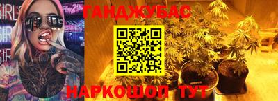 прущие грибы Шелехов