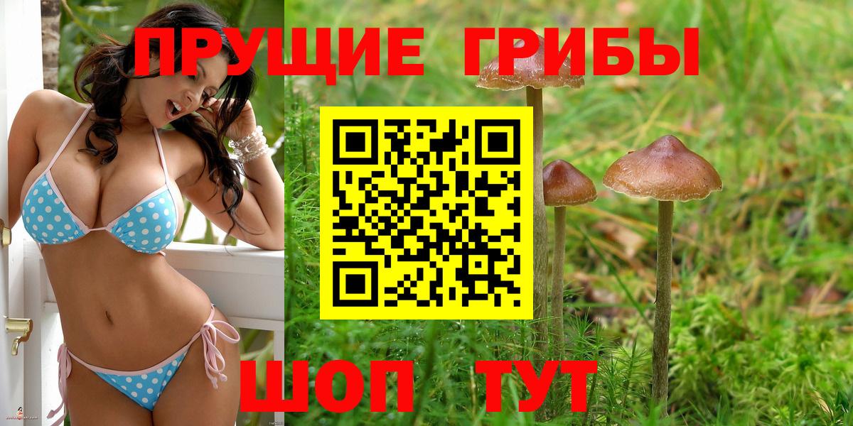 Галлюциногенные грибы GOLDEN TEACHER Майкоп